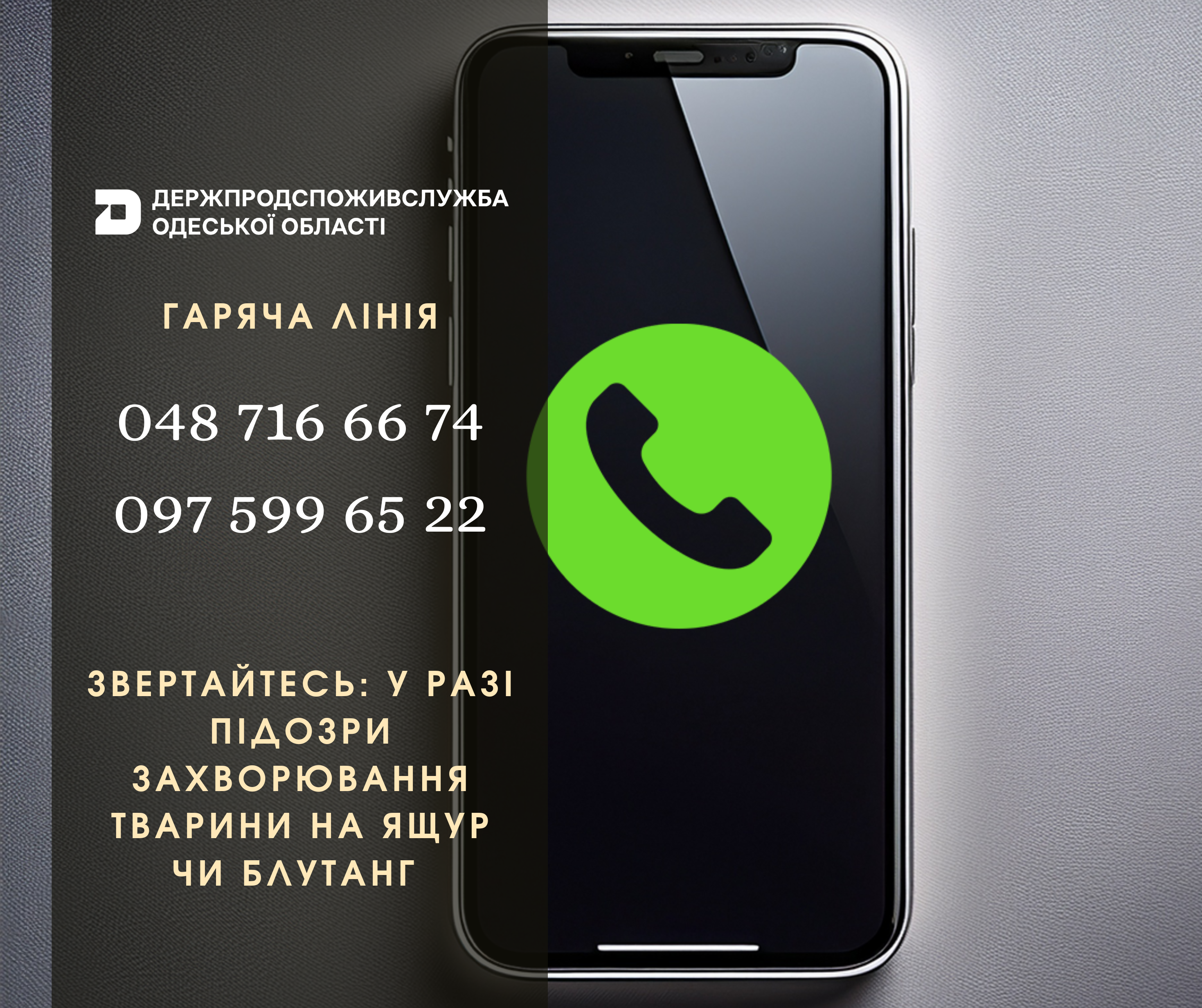 гаряча лінія Одеса (2)