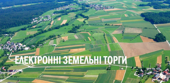 торги1