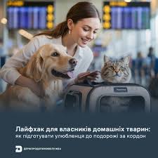 завантаження (83)