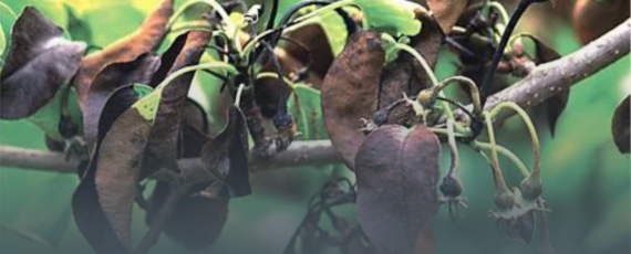 Vimogi Do 2026 02 18t115542.648