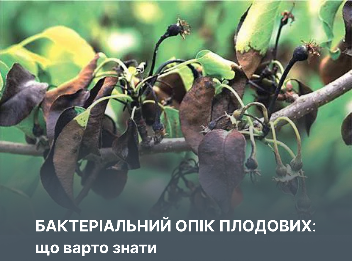 Vimogi Do 2026 02 18t115542.648