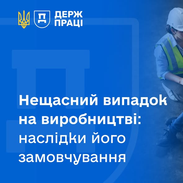 641282732 1348740663963461 6409426788664397657 N